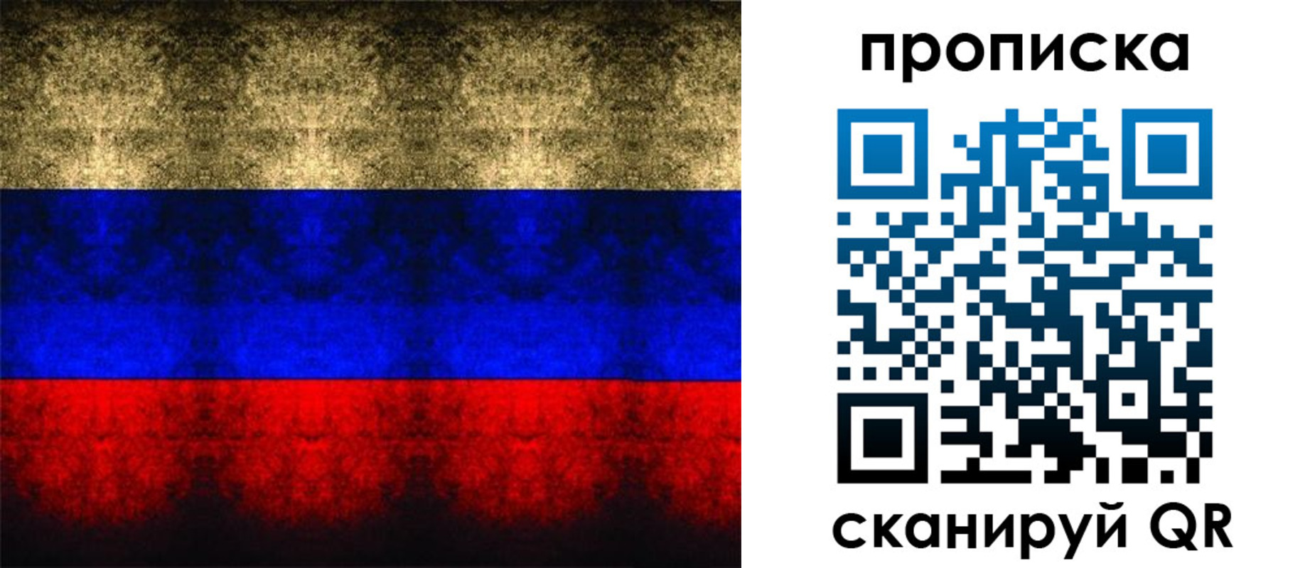 временная прописка в Лыткарино